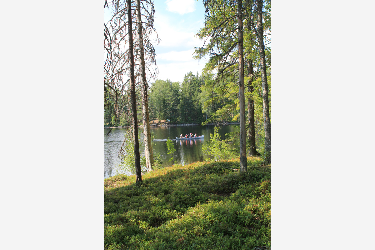 Schweden Glaskogen-Naturreservat Kanu-Ausflug