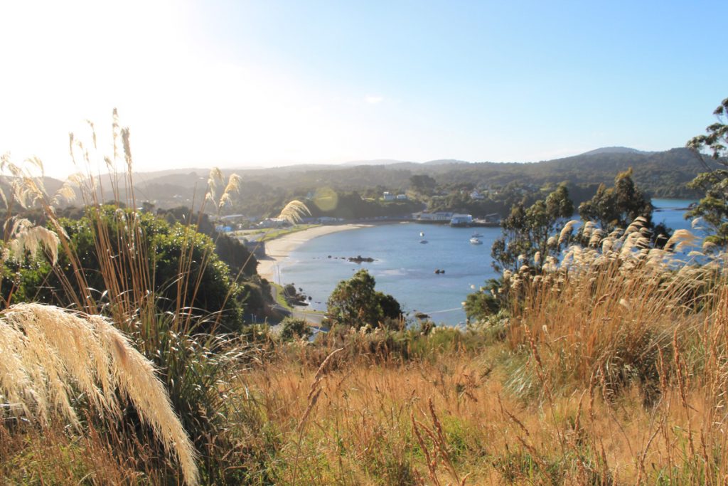 Stewart Island Neuseeland Blick auf Oban