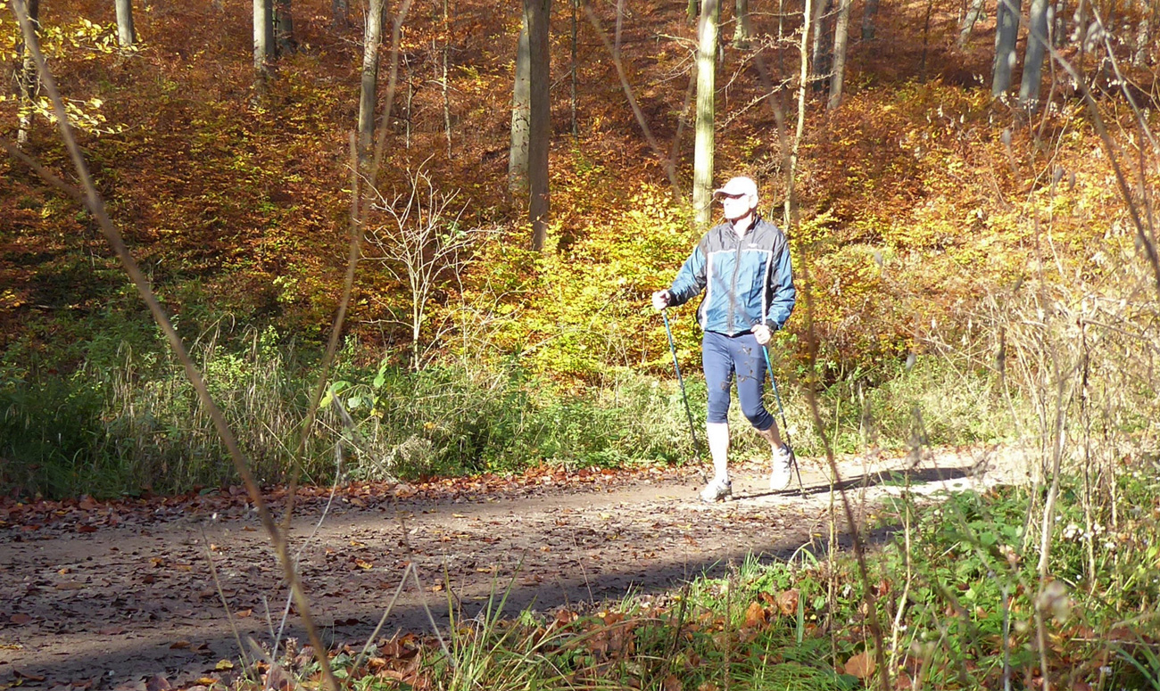 Nordic Walking Wienerwald Sophienalpe